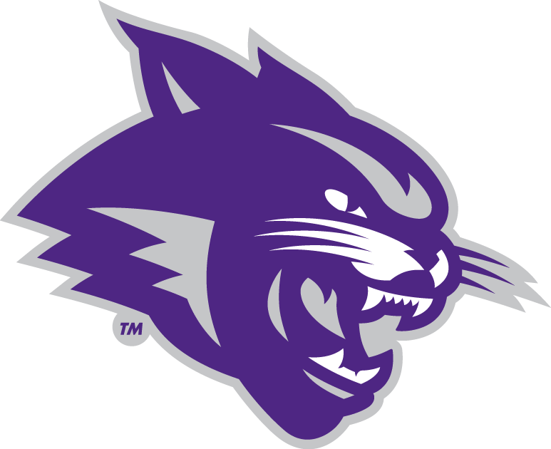 Abilene Christian Wildcats 2013-Pres Partial Logo iron on transfers for T-shirts